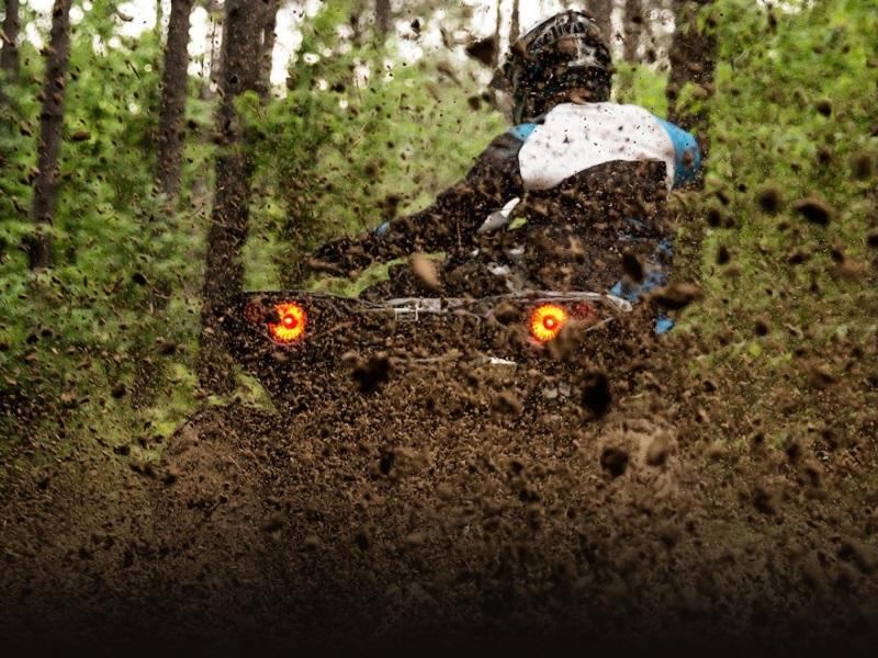 Can-Am® ATV #2